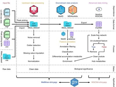 张学斌教授团队开发植物代谢组学数据分析流程:MetMiner